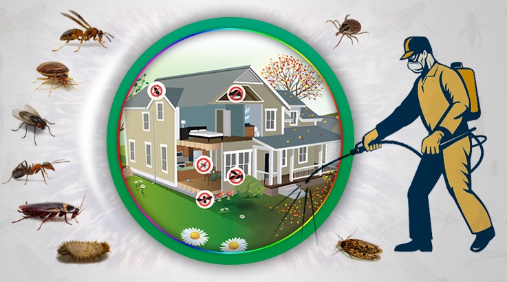 Çay Böcek İlaçlama